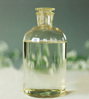 ��ѿ�ǝ{�����ڣ�